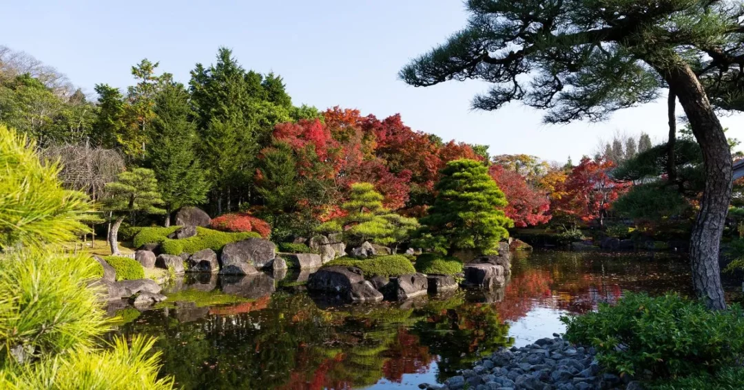 Kyoto Gardens is perfect for a serene proposal