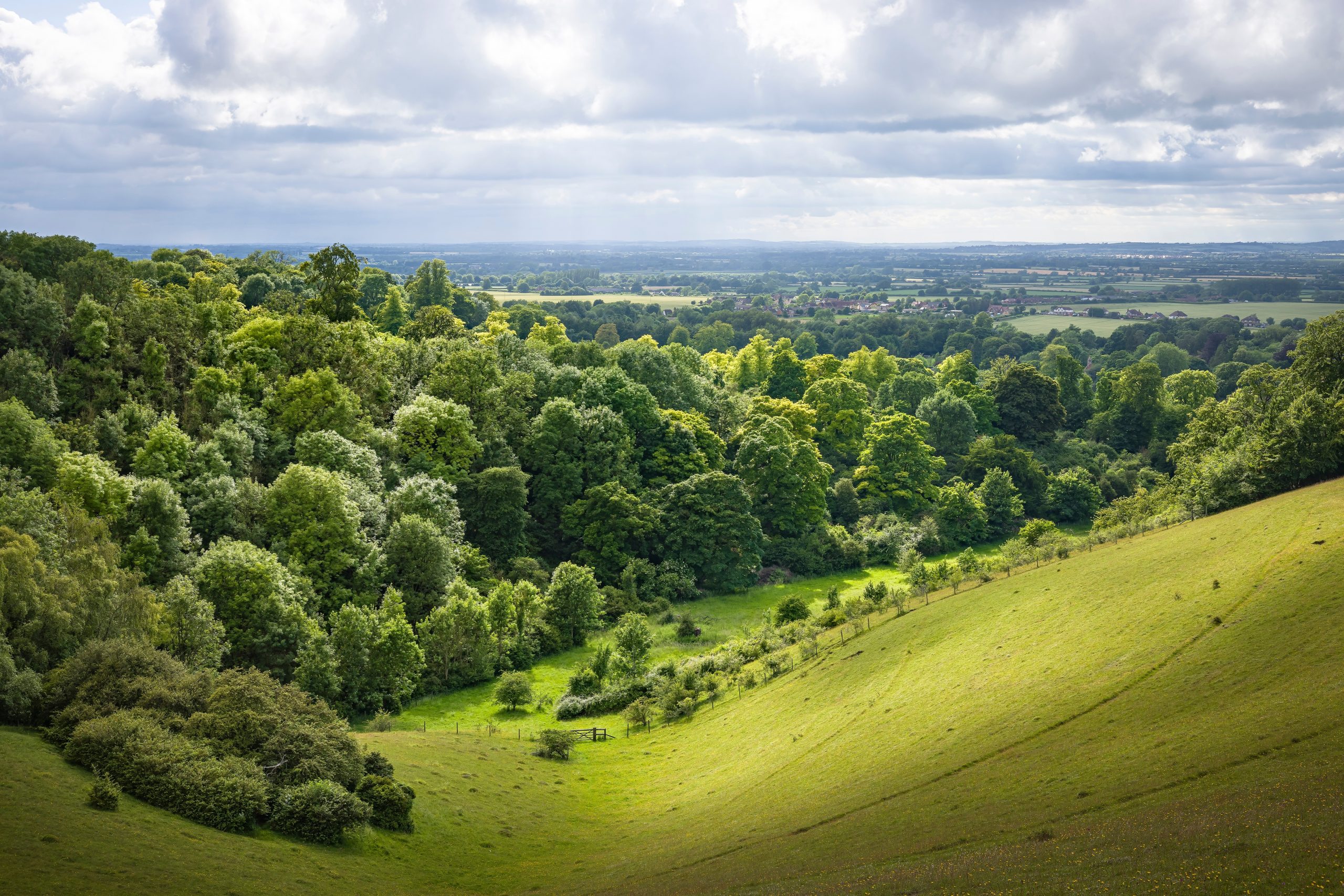 buckinghamshire virtual office