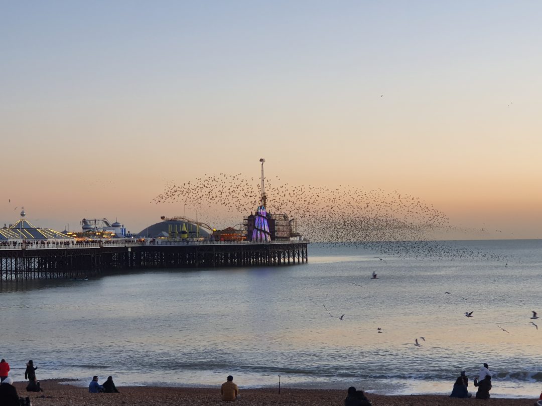 Shutterstock Brighton Pier